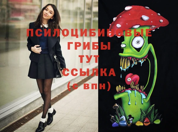 экстази Медвежьегорск