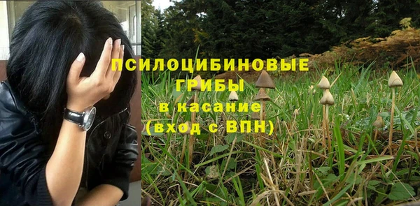 сатива Мегион