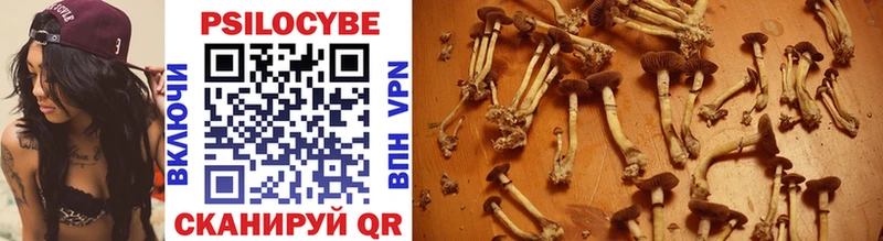 Купить закладки  Гаврилов Посад  Галлюциногенные грибы Psilocybe 